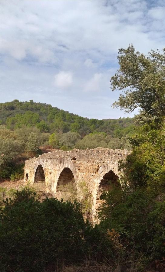 Bonita Casa Blanca En El Bosque. Villa Córdoba Exteriör bild